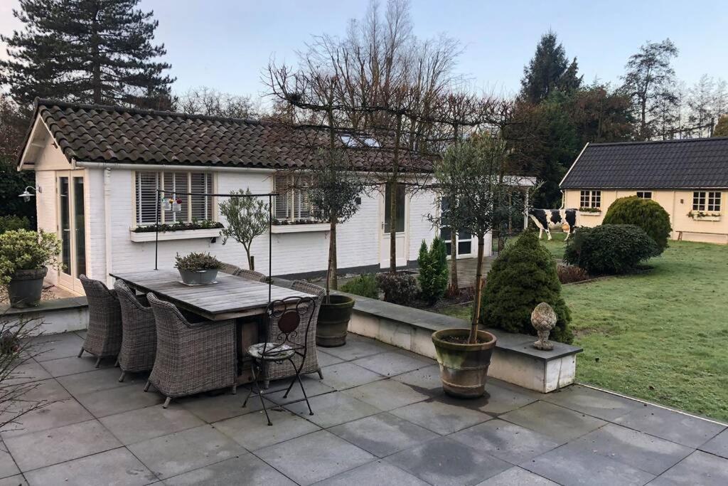 Tiny House In Tuin Van De Statige Villa Mariahof Dordrecht Eksteriør billede
