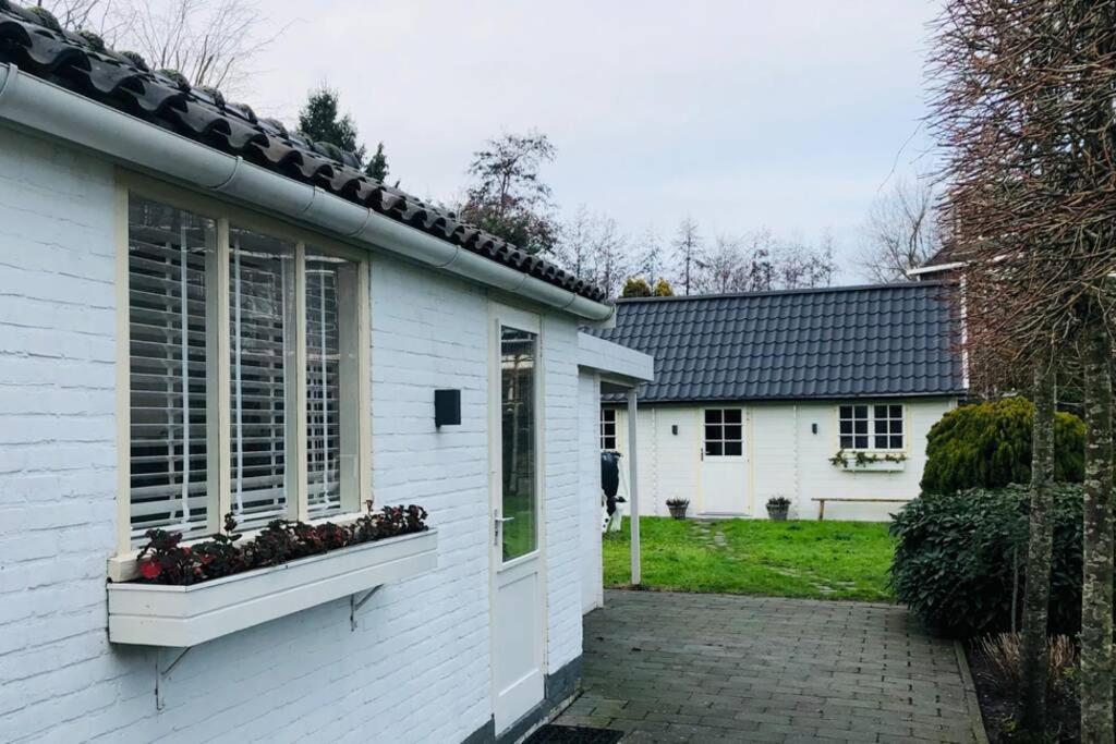 Tiny House In Tuin Van De Statige Villa Mariahof Dordrecht Eksteriør billede