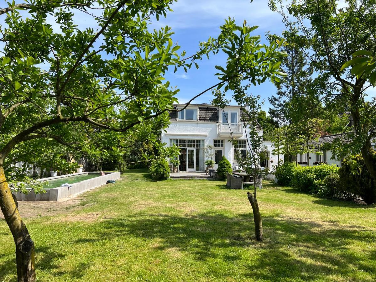 Tiny House In Tuin Van De Statige Villa Mariahof Dordrecht Eksteriør billede